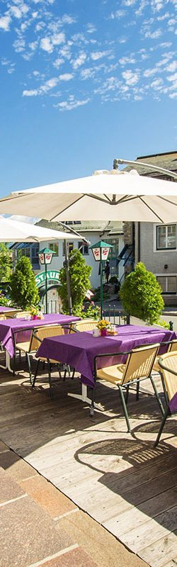 Apart-Hotel Panorama in Flachau, Salzburger Land – Sommerurlaub & Winterurlaub in Flachau, Ski amadé – Sonnenterrasse