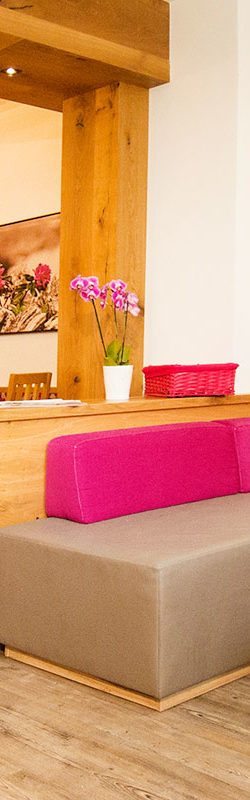 Apart-Hotel Panorama in Flachau, Salzburger Land – Sommerurlaub & Winterurlaub in Flachau, Salzburger Land, Ski amadé
