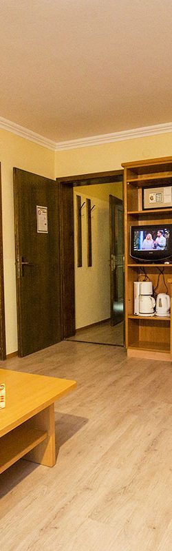 Ferienwohnung für 2 – 3 Personen in Flachau, Salzburger Land. Apart-Hotel Panorama im Ski amadé