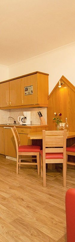 Studio für max. 3 Personen in Flachau, Salzburger Land. Apart-Hotel Panorama im Ski amadé